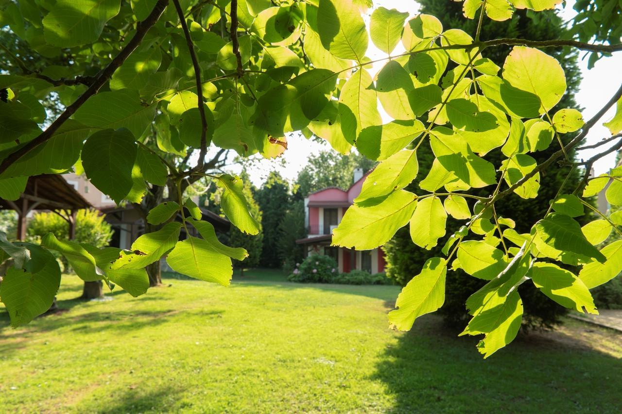 Kirkpinar Konaklari Villa Sapanca Exterior foto